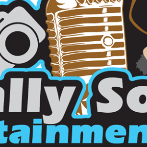 St Louis Live Music, St Louis Wedding Bands, St Louis Wedding DJ , Totally Sound Entertainment, LLC 