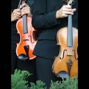 Indianapolis Live Music, Indianapolis Djs, Indianapolis Wedding Bands , Candlewood Strings 